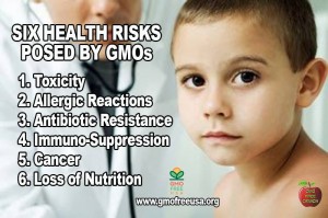 GMO risk